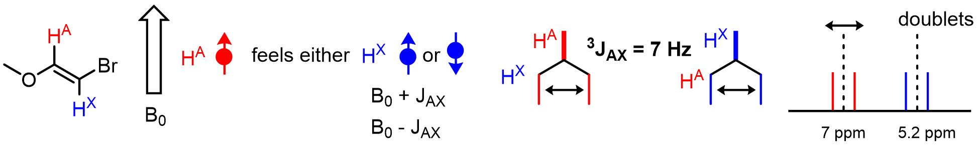 In other words, given an atom HA, the spins of neighboring nuclei (such as HX) are also little magnetic fields that can affect the shift of HA. Becaus