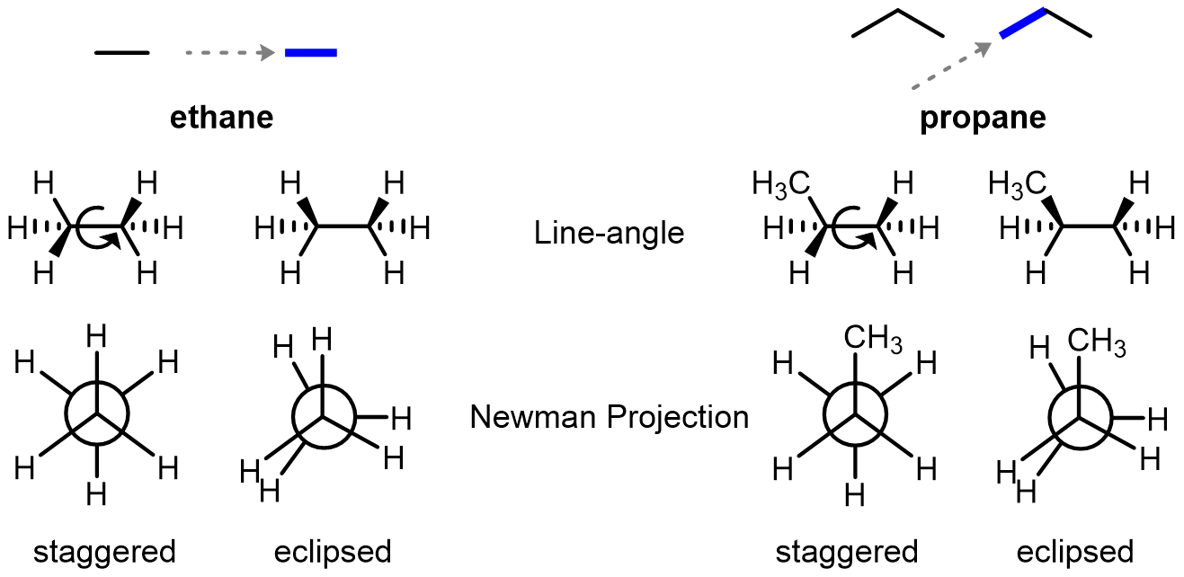 Newman projections are drawn from the perspective of looking directly down a C–C bond. Here are a couple examples: