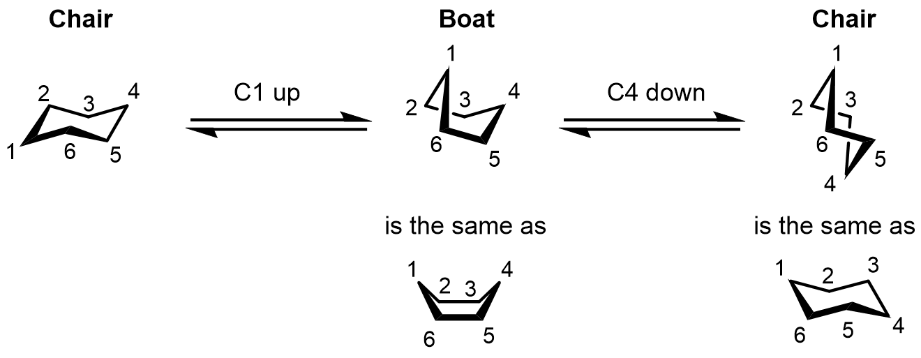 The most significant intermediate conformation during the chair flip process is the boat conformation. Here is a numbered depiction on how to intercon