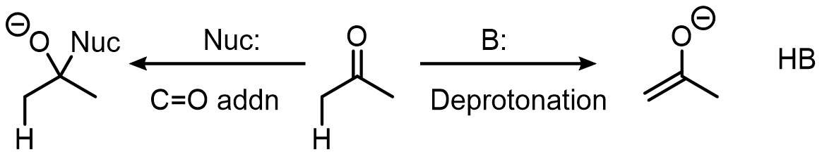 Direct addition to carbonyl (left) and enolate formation (right) are shown here: