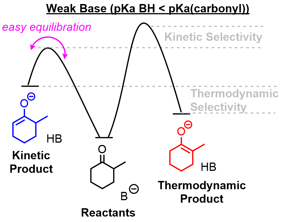 When a weak base is used, deprotonation is relatively hard, and the products of deprotonation are less stable than the reactants. Because equilibratio