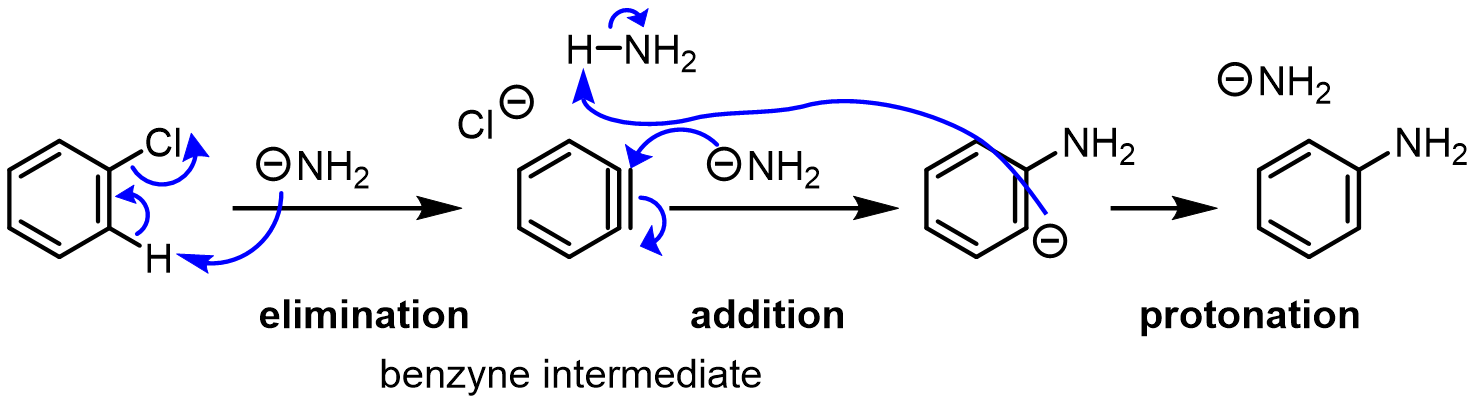 The elimination-addition mechanism goes through a highly reactive benzyne intermediate: