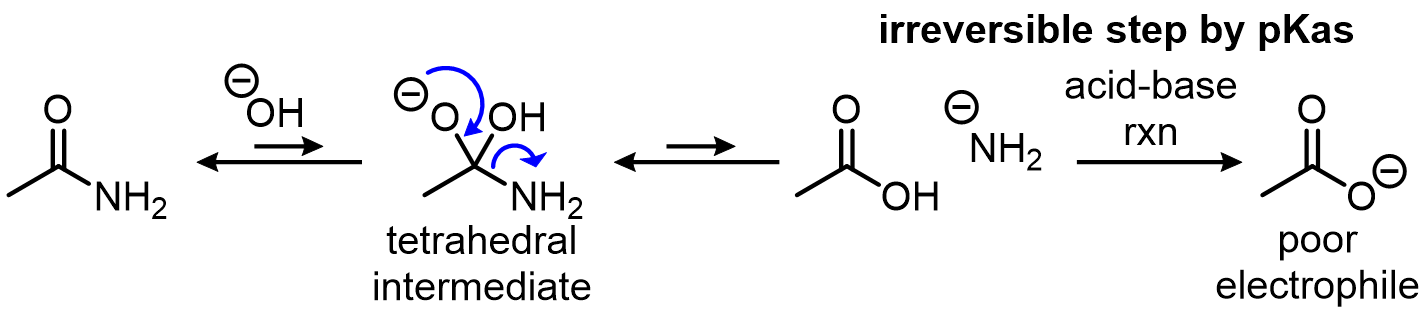 In some cases, the equilibrium between carbonyls and tetrahedral intermediates is interrupted by an irreversible step: