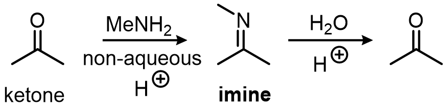 When primary amines react with ketones or aldehydes under acidic conditions, imines are formed. Imines are more reactive than carbonyls and will easil