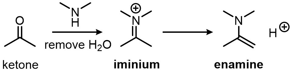 When secondary amines react with ketones or aldehydes with an alpha-H, an intermediate iminium ion is formed, which then converts into an enamine.