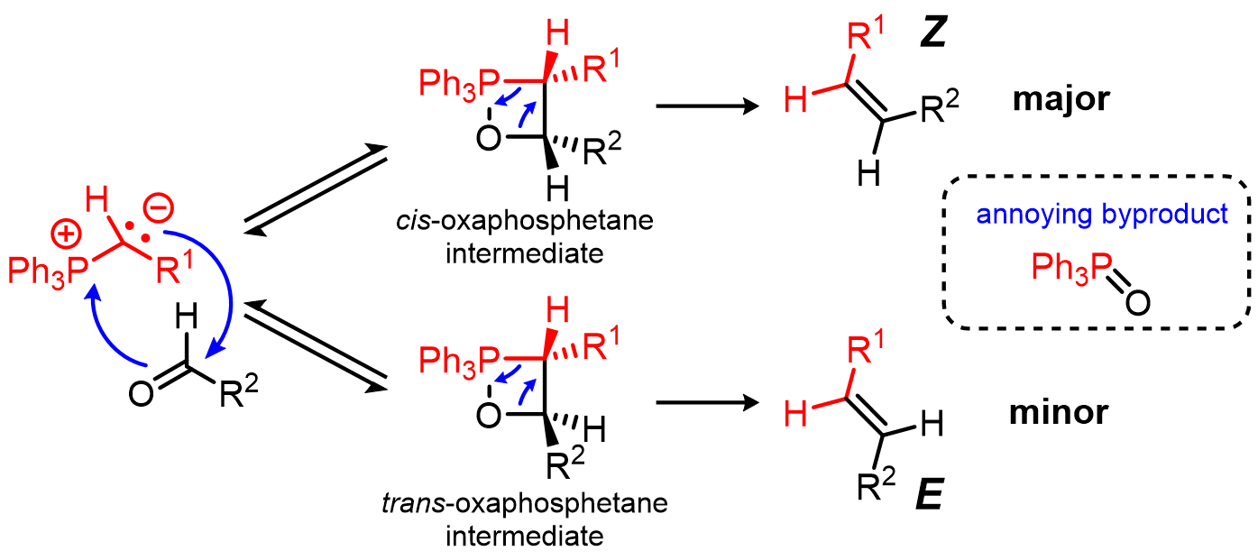 The Wittig Olefination favors the formation of Z alkenes. The reaction proceeds mechanistically through an oxaphosphetane intermediate: