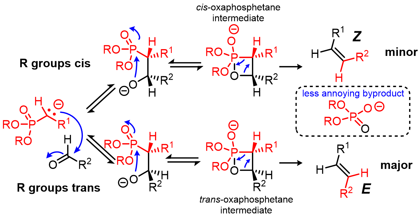 The Horner-Wadsworth-Emmons (HWE) Olefination uses a phosphonate instead of a phosphonium ylide and tends to favor the formation of E alkenes. The mec