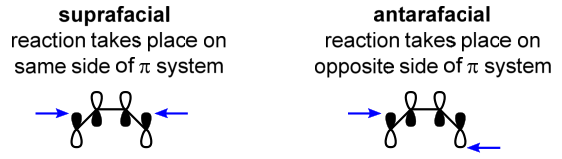 The Woodward-Hoffmann Selection Rules, which derive from analyses of orbital symmetry, are applied to determine the nature of the cyclization process,