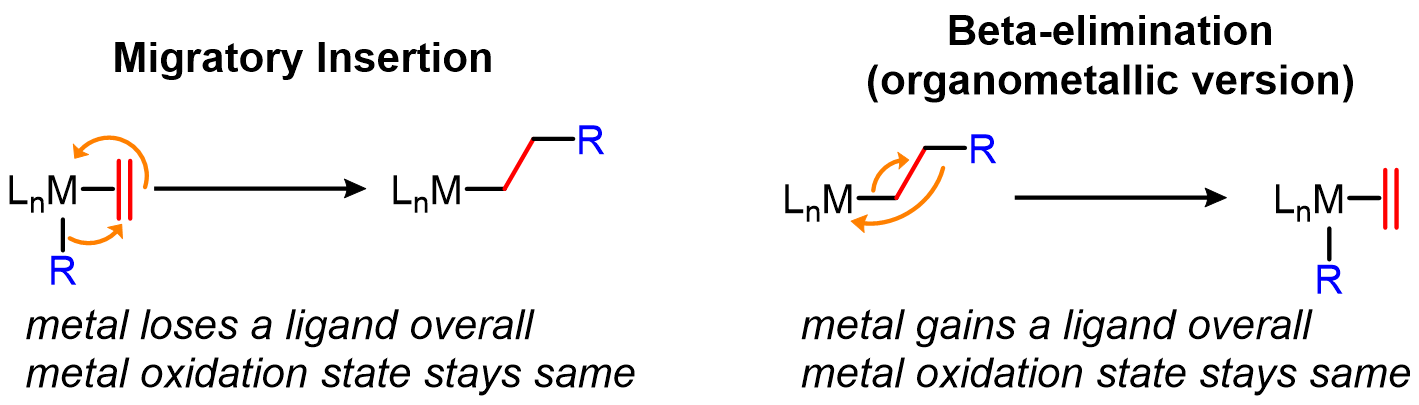 A ligand on a metal ion that is coordinated to a π bond can migrate onto the π bond, and vice versa. These processes are migratory insertion and β-eli