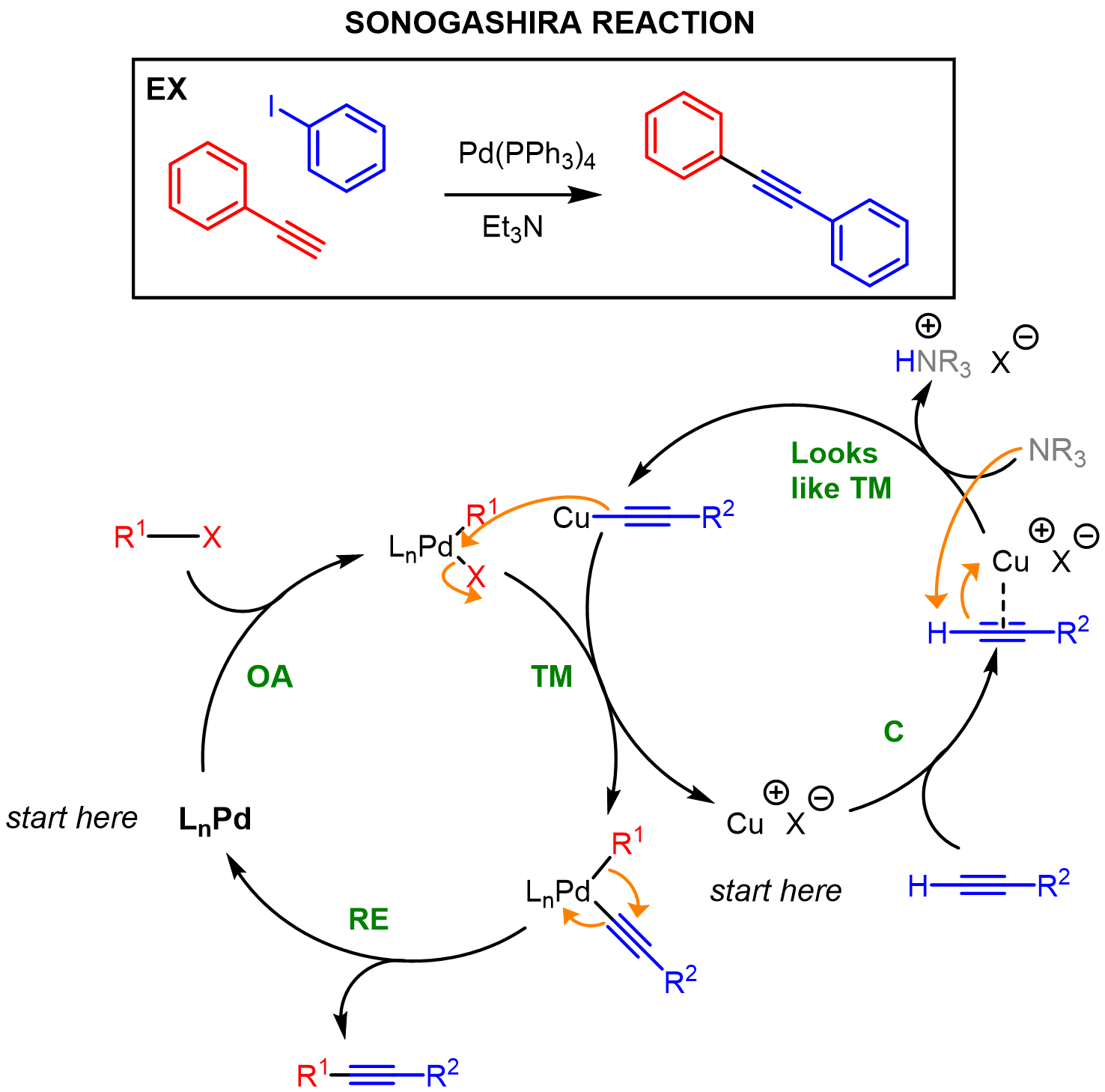 In these reactions, the metal will undergo oxidative addition at the beginning of the cycle and reductive elimination at the end. Between those two st